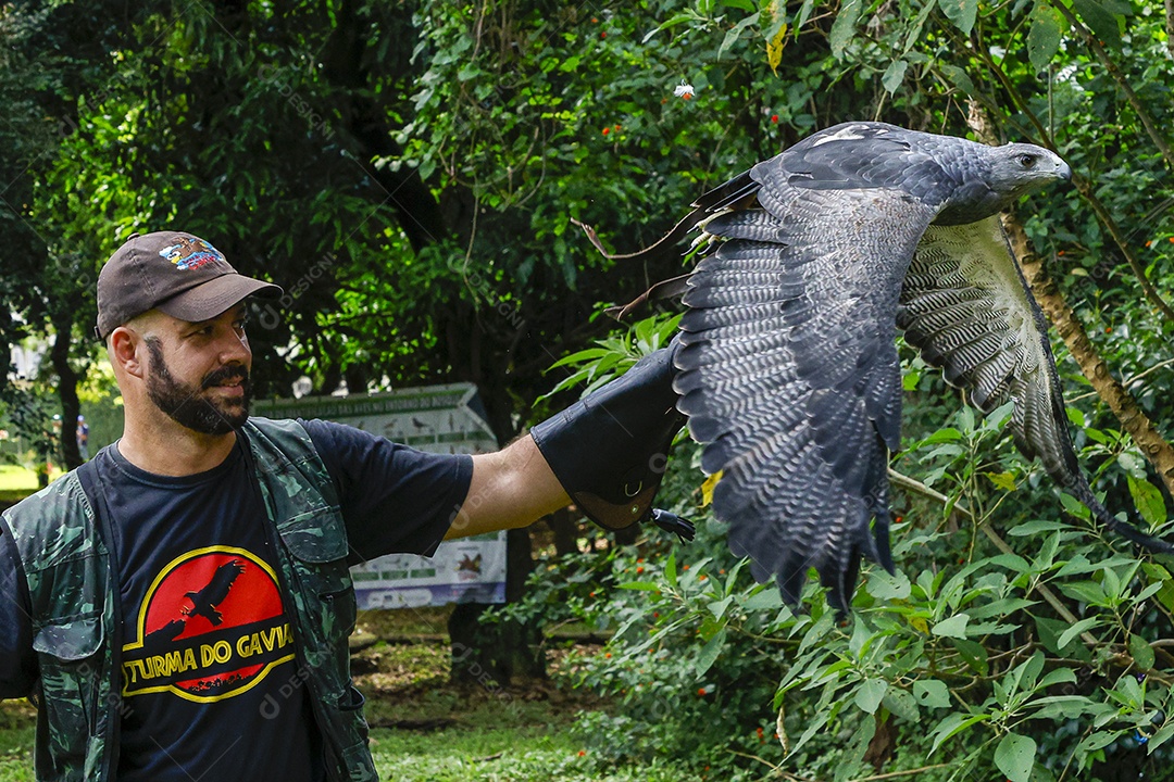 Homem jovem sobre campo verde com seu animal de estimação águia