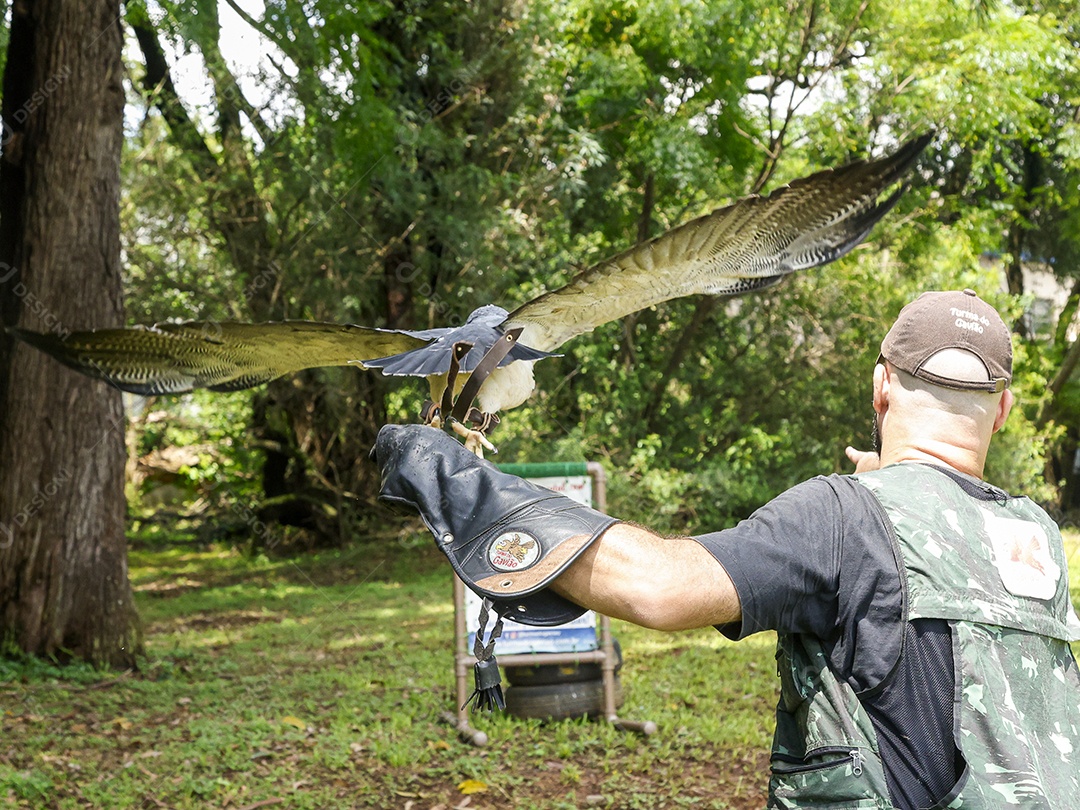 Homem jovem sobre campo verde com seu animal de estimação águia