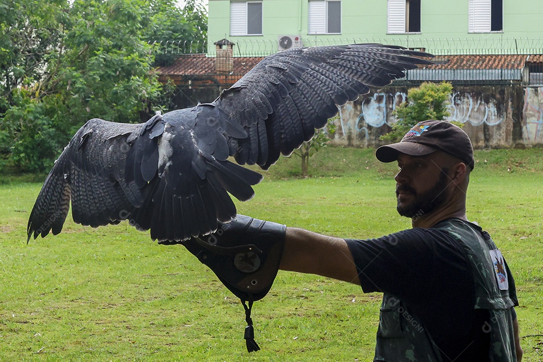 Homem jovem sobre campo verde com seu animal de estimação águia