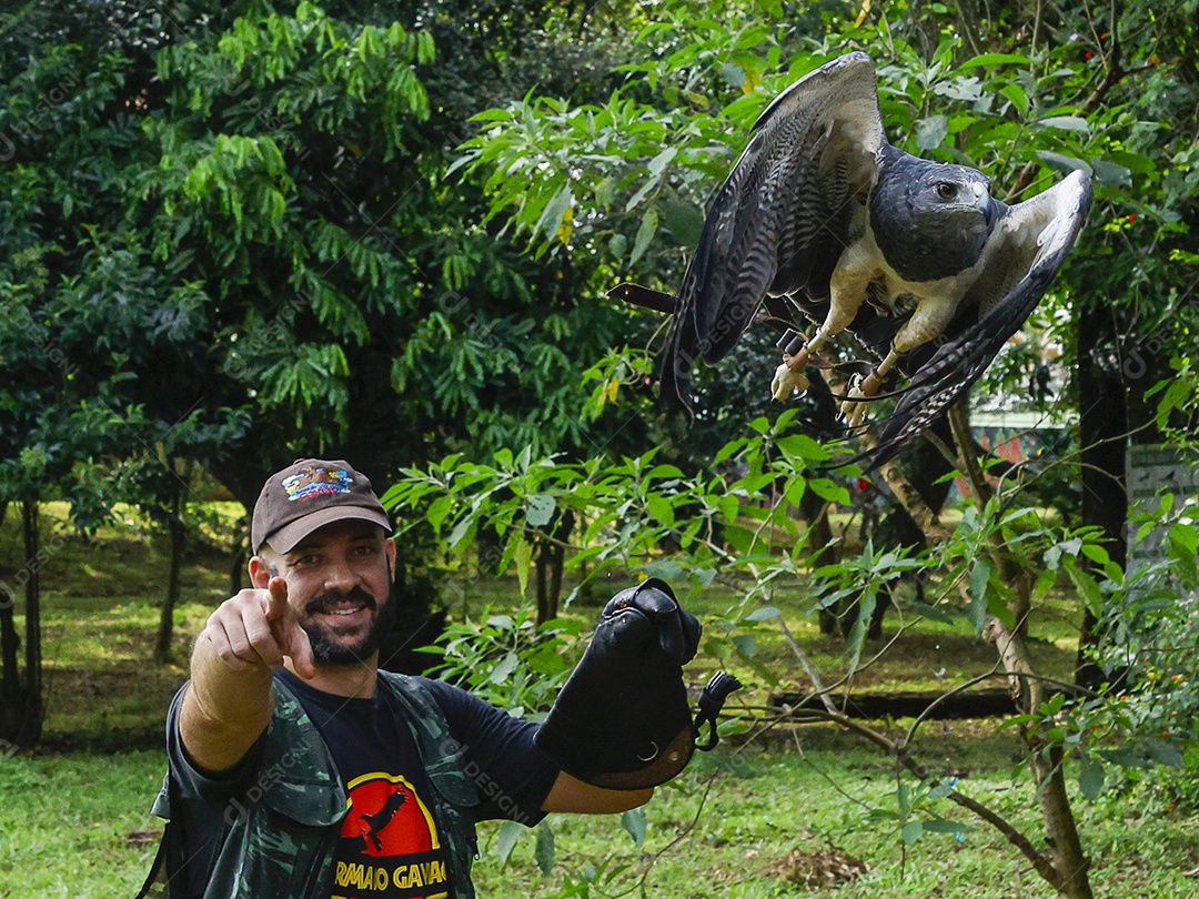 Homem jovem sobre campo verde com seu animal de estimação águia
