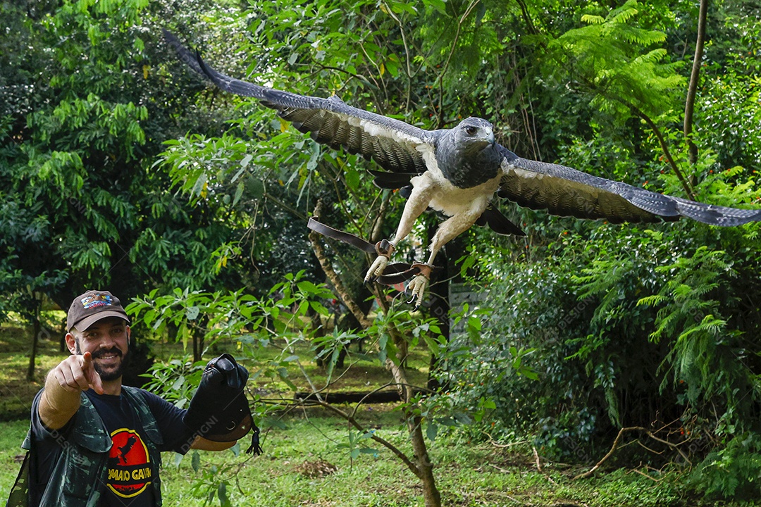 Homem jovem sobre campo verde com seu animal de estimação águia