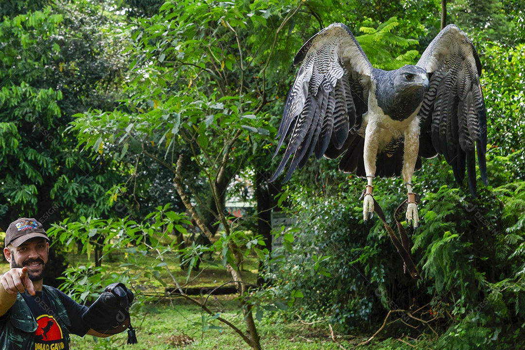 Homem jovem sobre campo verde com seu animal de estimação águia