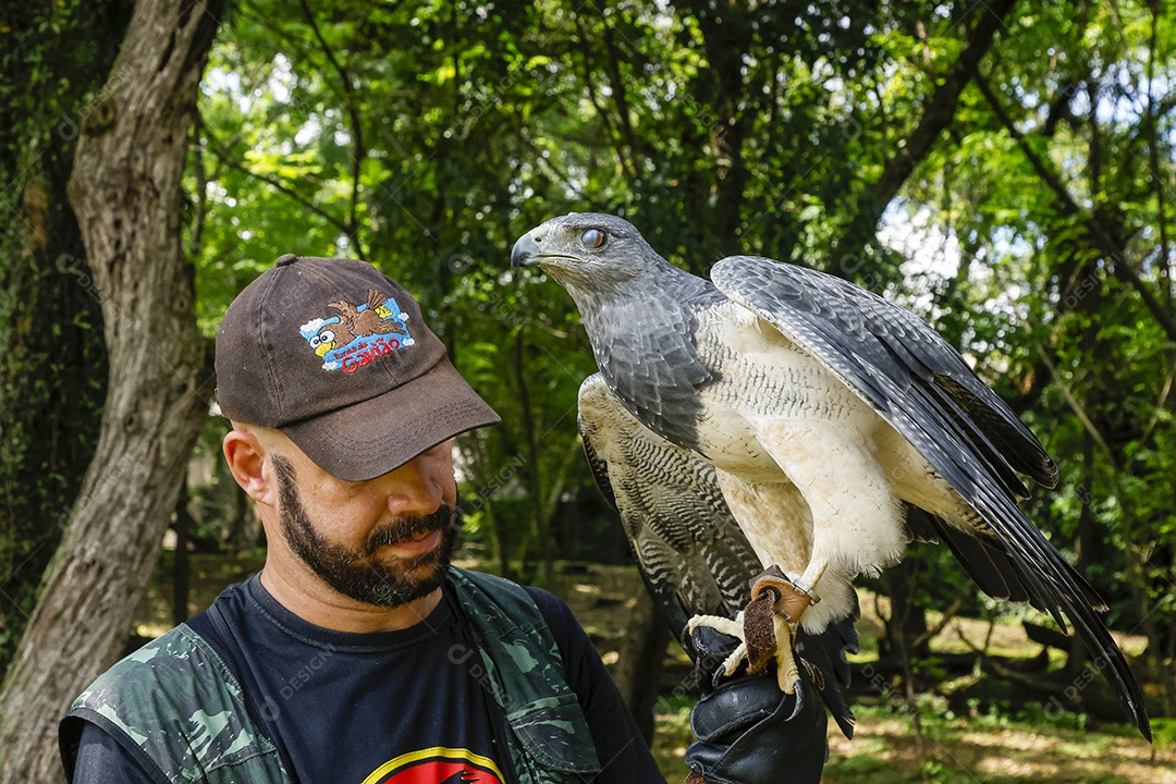 Homem jovem sobre campo verde com seu animal de estimação águia