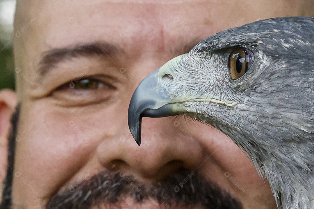 Homem jovem sobre campo verde com seu animal de estimação águia