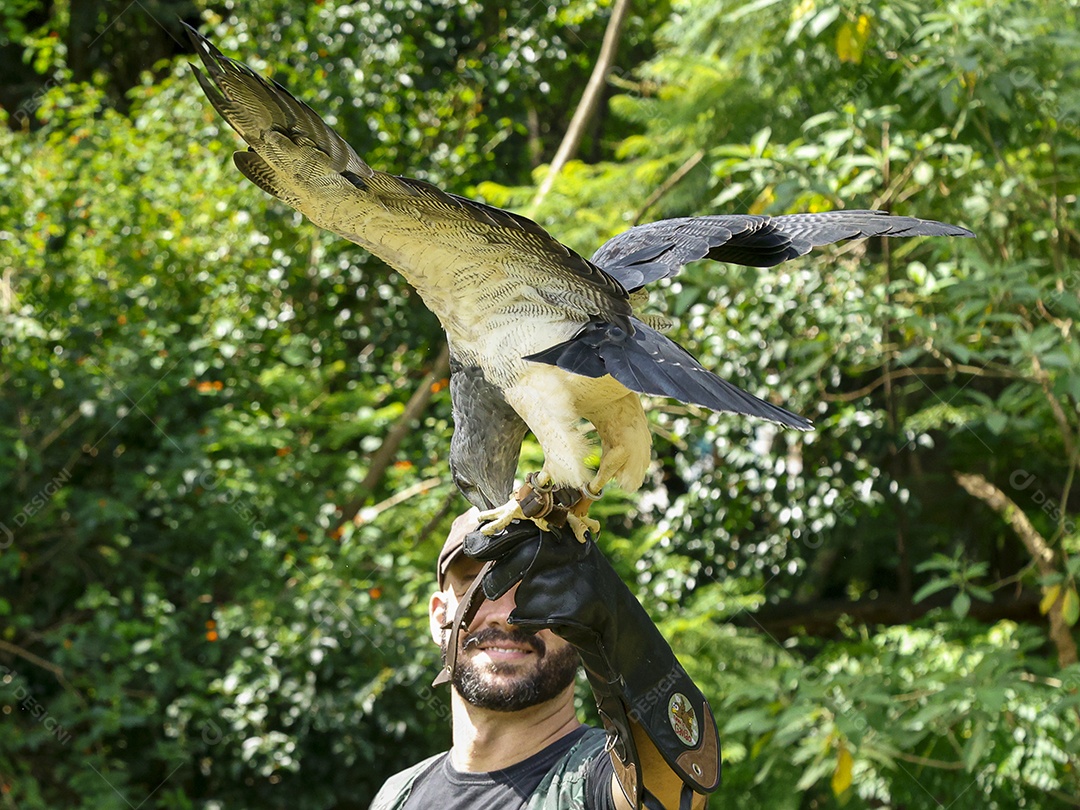 Homem jovem sobre campo verde com seu animal de estimação águia