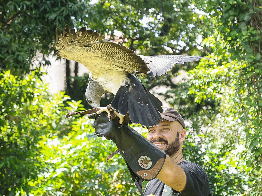 Homem jovem sobre campo verde com seu animal de estimação águia