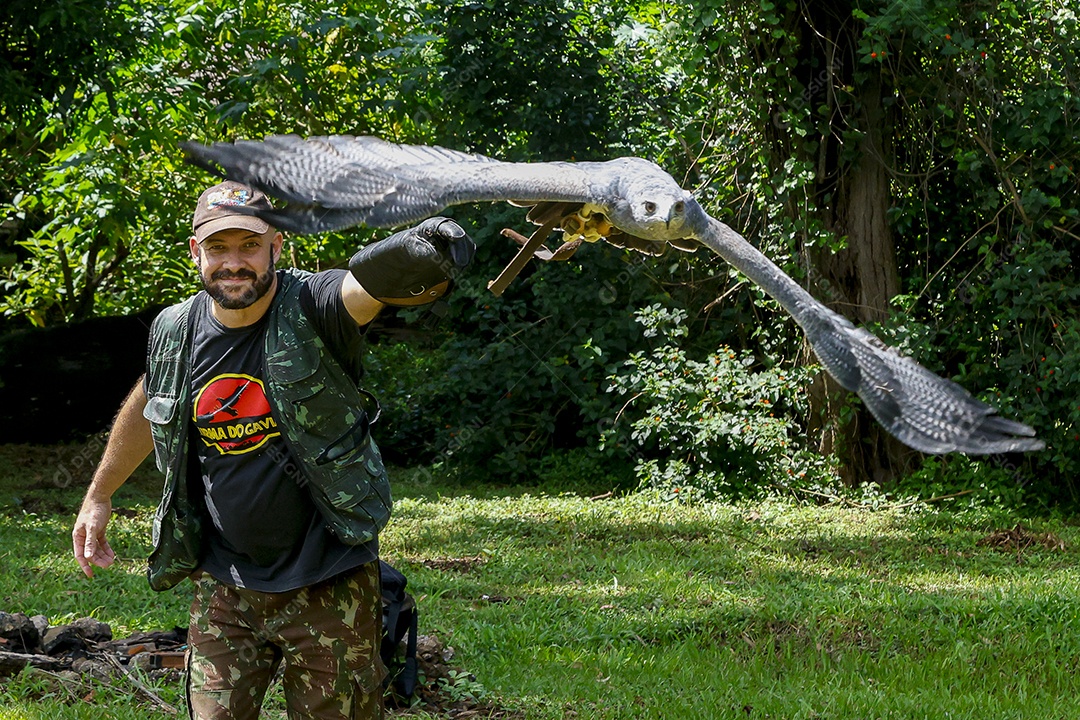 Homem jovem sobre campo verde com seu animal de estimação águia