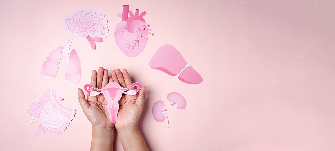 Check-up útero, sistema reprodutivo feminino, saúde da mulher