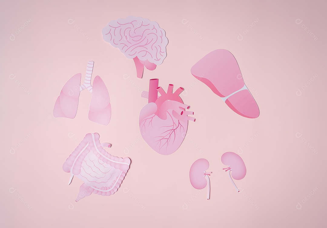 Conceito de doação de órgãos