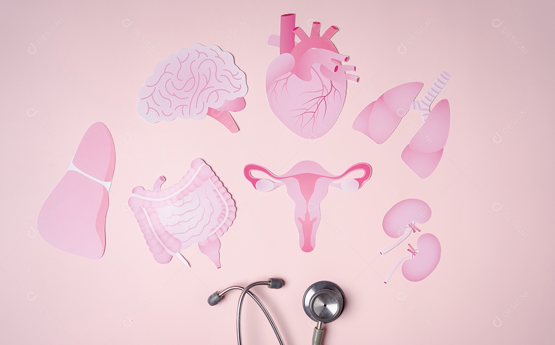 Check-up útero, sistema reprodutivo feminino, saúde da mulher