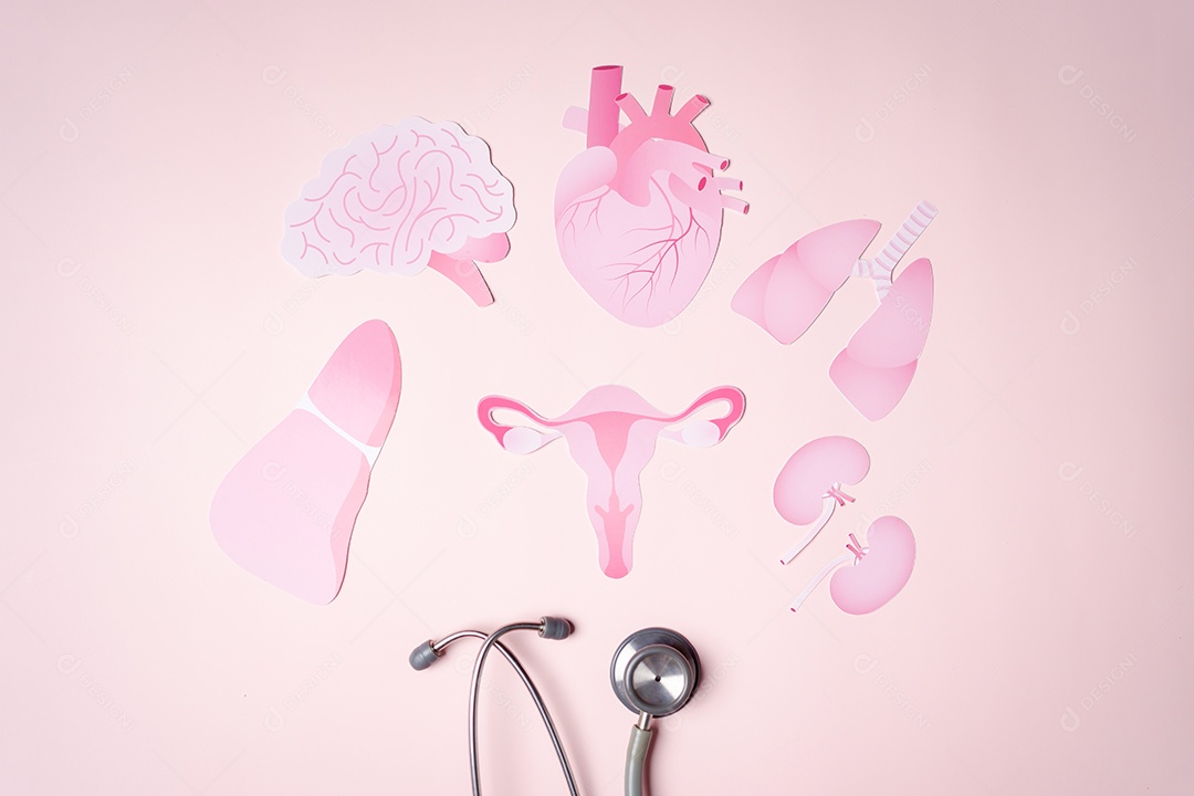 Check-up útero, sistema reprodutivo feminino, saúde da mulher