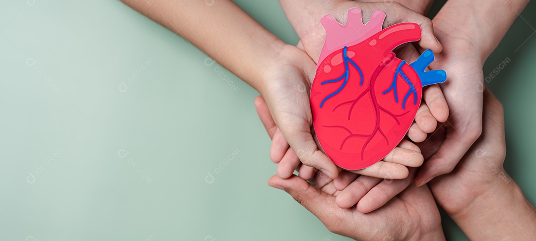 Mãos segurando corte de papel de órgão cardíaco, anatomia cardíaca