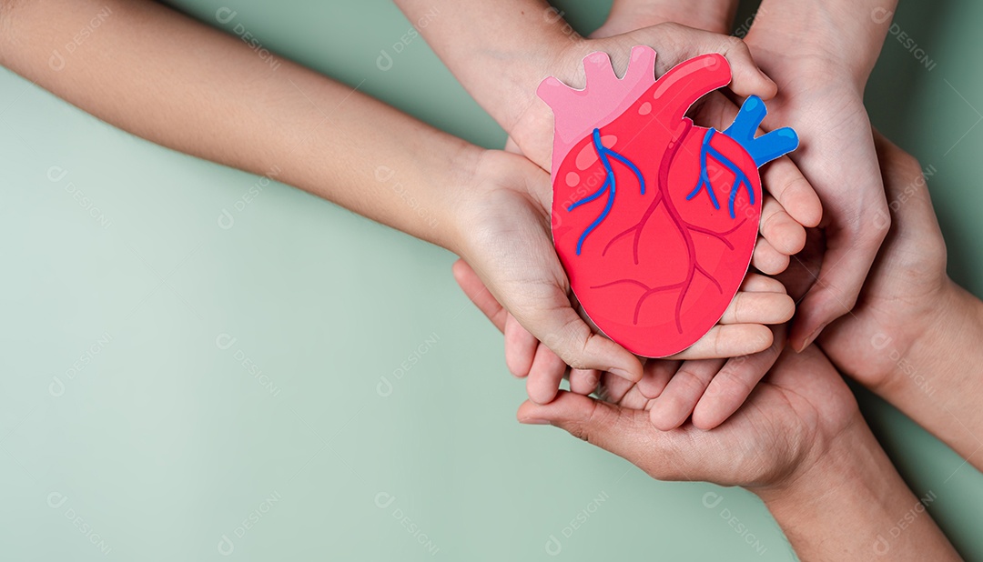Mãos segurando corte de papel de órgão cardíaco, anatomia cardíaca