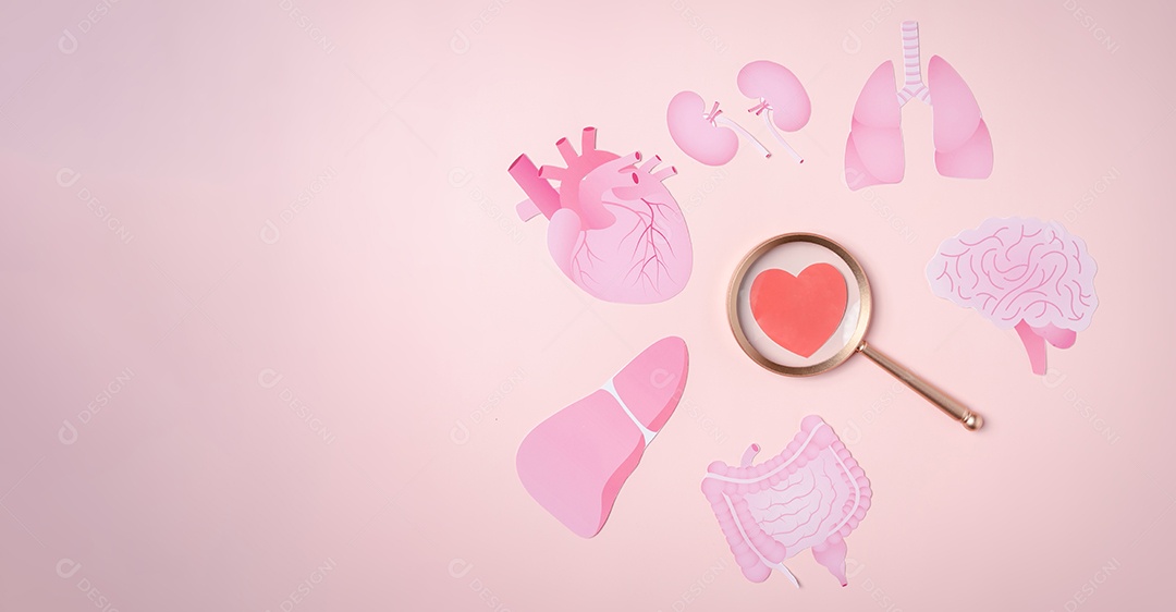 Conceito de doação de órgãos, lupa foco no ícone de coração em fundo rosa.