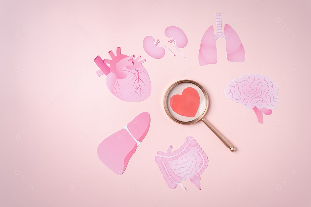 Conceito de doação de órgãos, lupa foco no ícone de coração em fundo rosa.