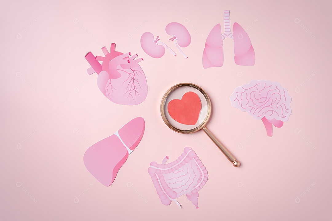 Conceito de doação de órgãos, lupa foco no ícone de coração em fundo rosa.