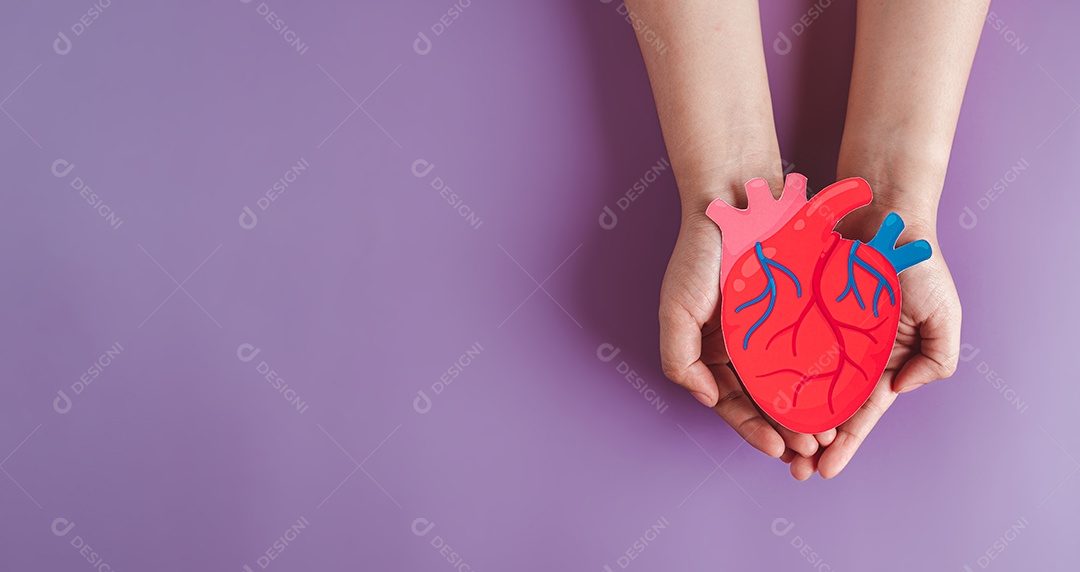 Mãos segurando corte de papel de órgão cardíaco, anatomia cardíaca