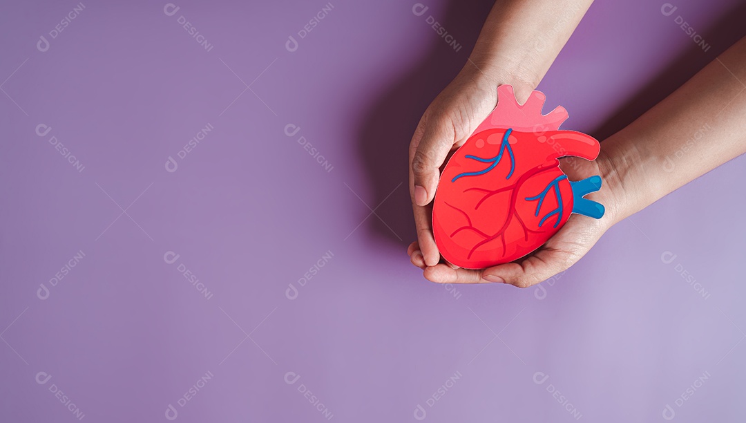 Mãos segurando corte de papel de órgão cardíaco, anatomia cardíaca