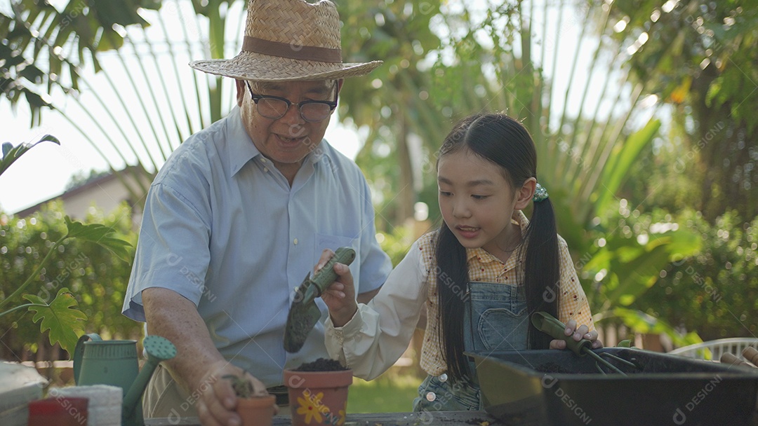 Vovô asiático com menina plantando árvore jovem no solo preto e regando-a juntos no jardim.