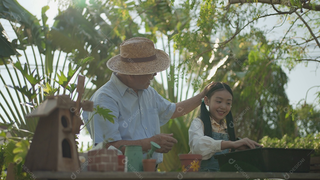 Vovô asiático com menina plantando árvore jovem no solo preto e regando-a juntos no jardim.