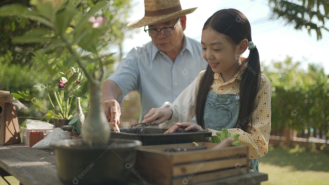 Vovô asiático com menina plantando árvore jovem no solo preto e regando-a juntos no jardim.