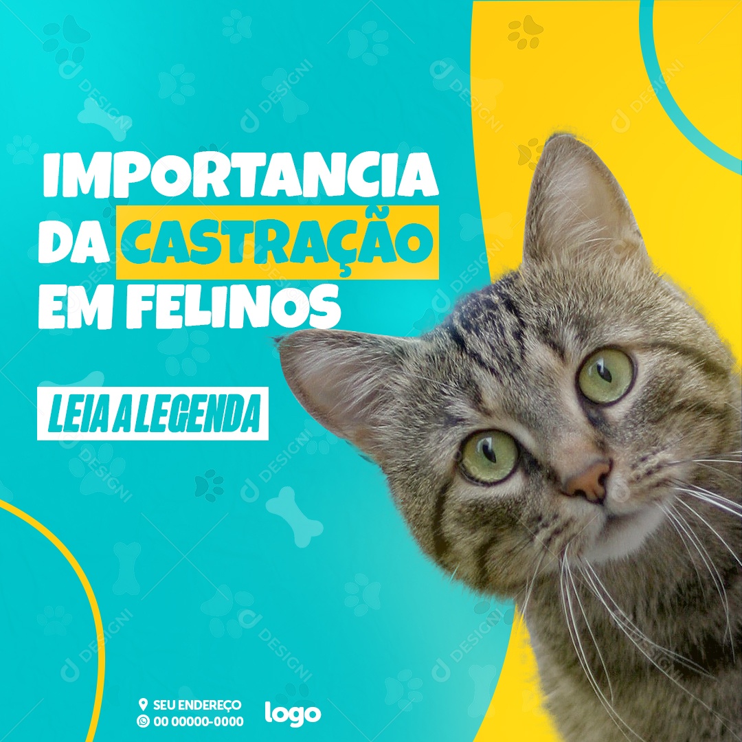 Social Media Importance of Castration in Felines Editable PSD