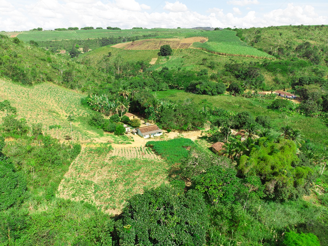 Vista aérea da paisagem verde