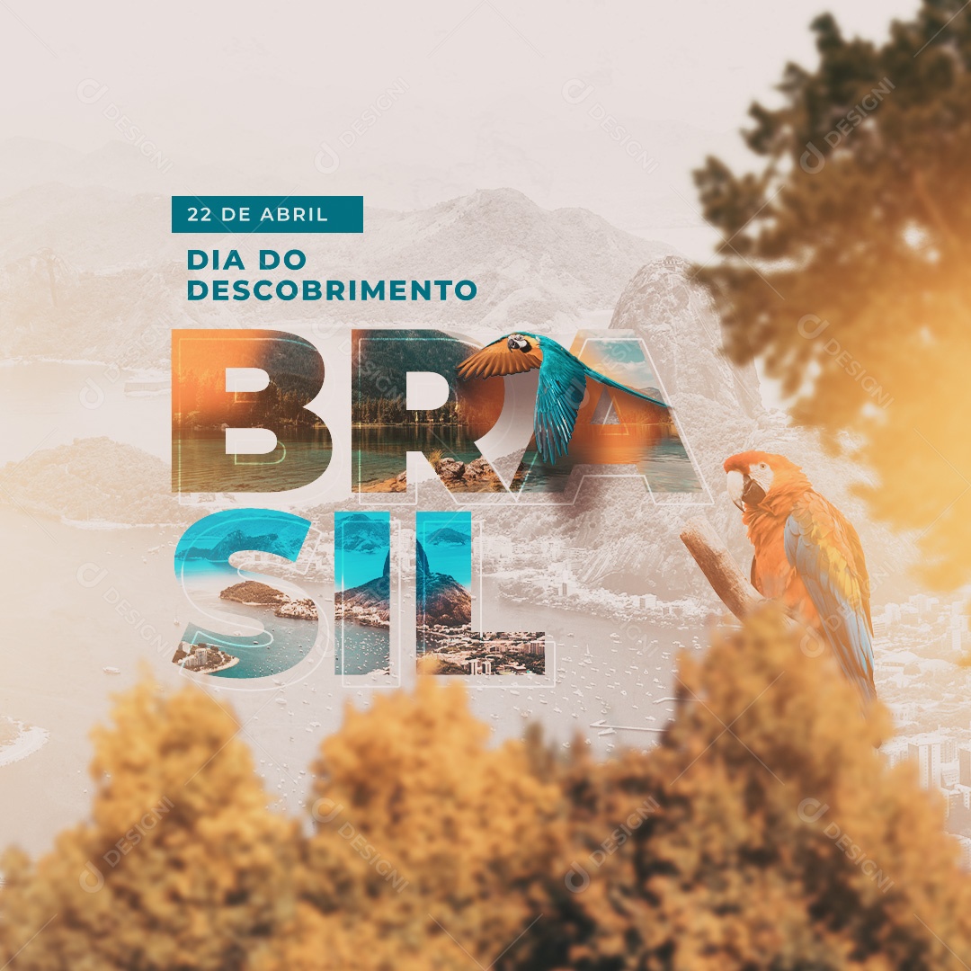 Social Media 22 De Abril Dia Do Descobrimento Do Brasil PSD Editavel