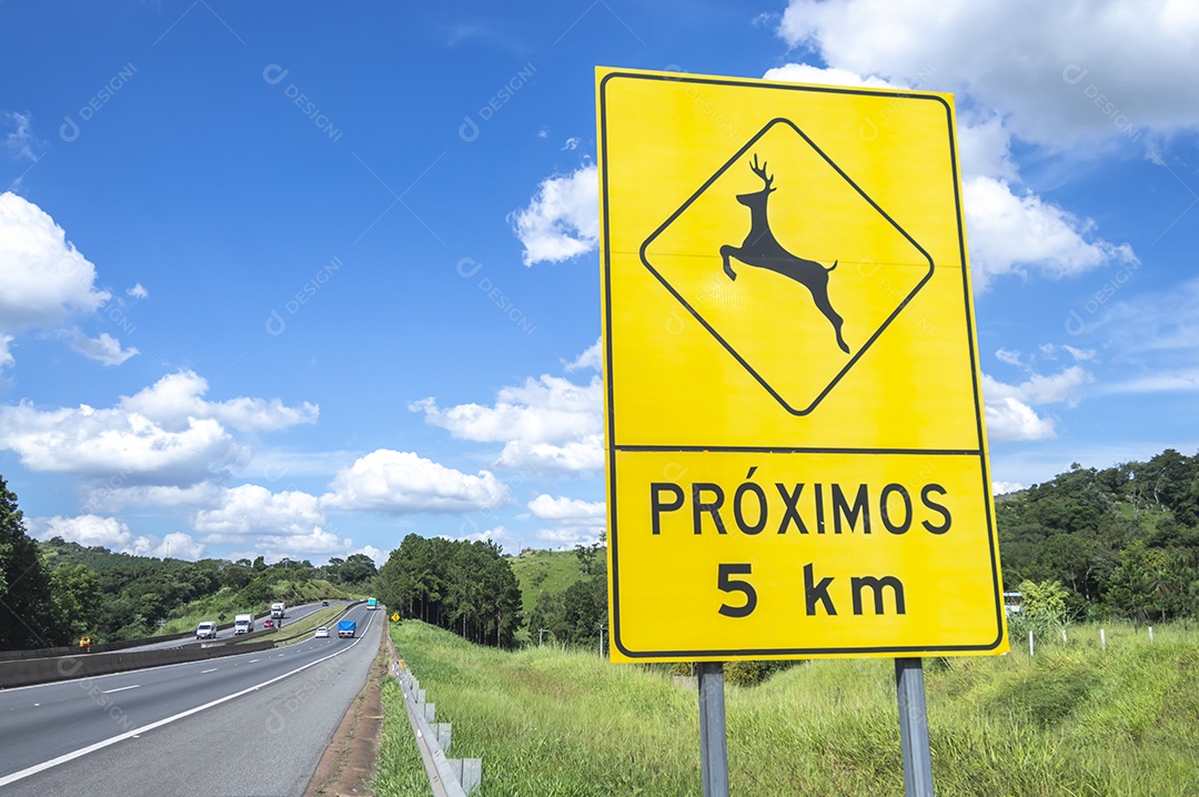 Placa indicando risco de passagem de animais na rodovia.