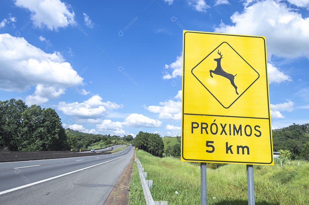 Placa indicando risco de passagem de animais na rodovia.