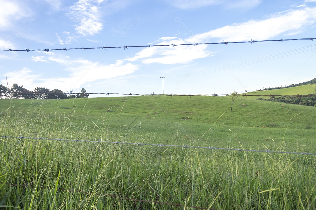 Paisagem de pastagem, planícies com relva, fim de tarde com nuvens.