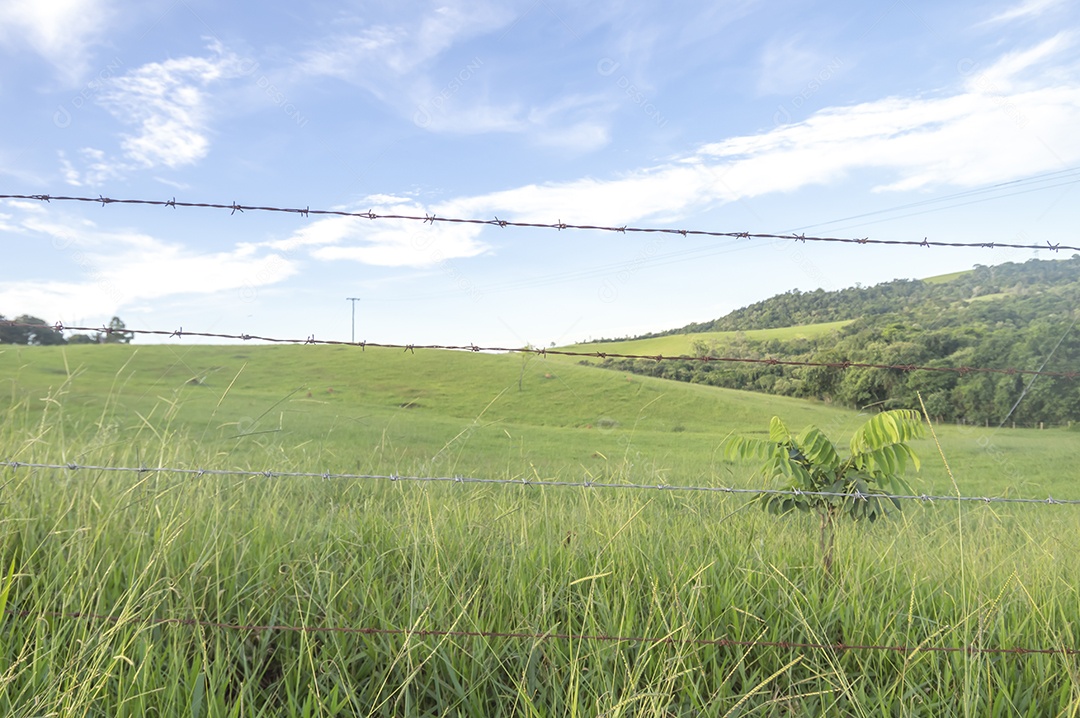 Paisagem de pastagem, planícies com relva, fim de tarde com nuvens.