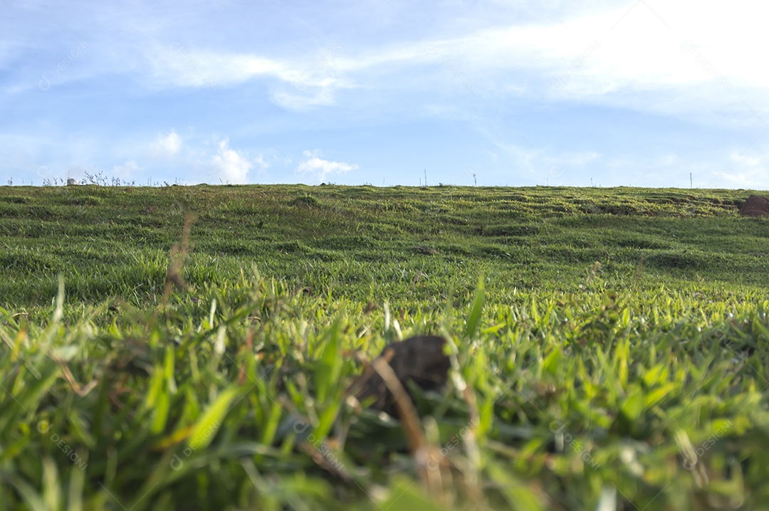 Paisagem de pastagem, planícies com relva, fim de tarde com nuvens.