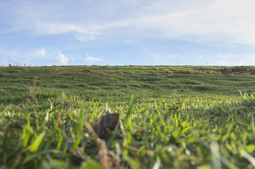 Paisagem de pastagem, planícies com relva, fim de tarde com nuvens.