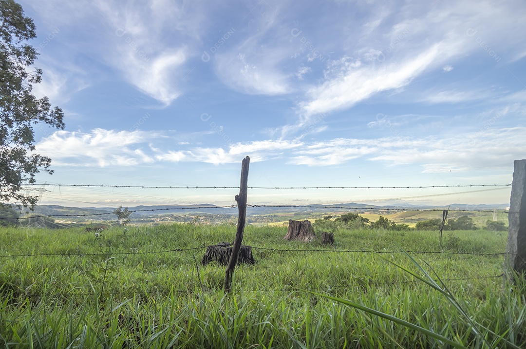 Paisagem de pastagem, planícies com relva, fim de tarde com nuvens.
