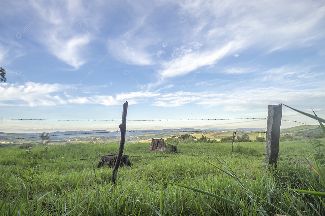 Paisagem de pastagem, planícies com relva, fim de tarde com nuvens.