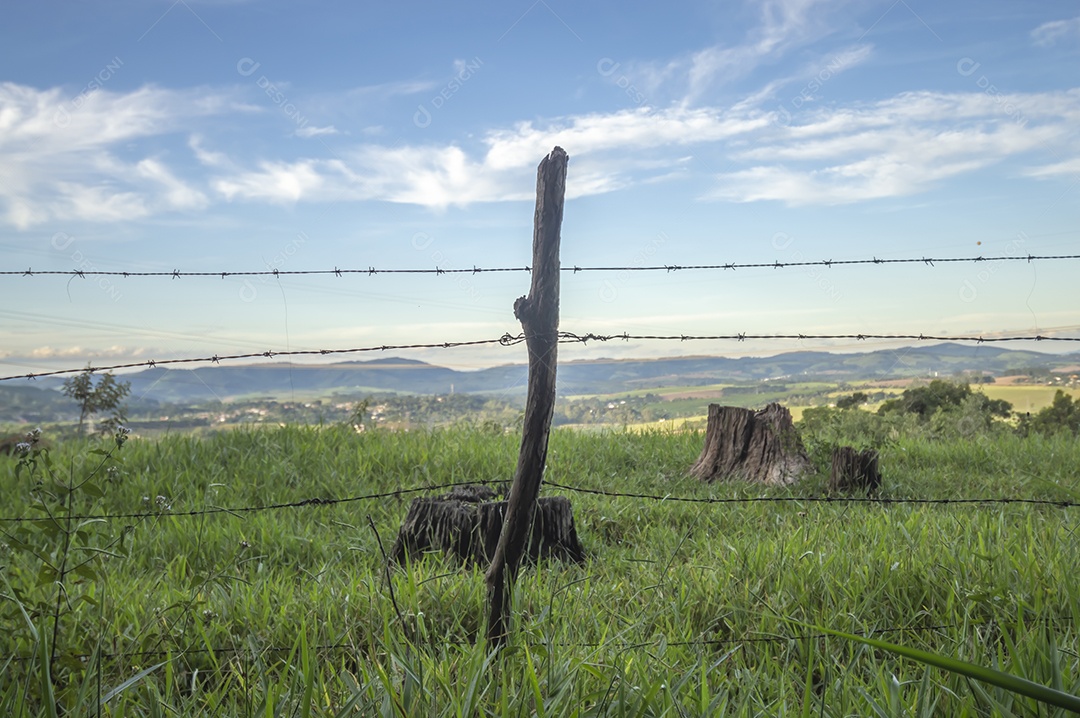 Paisagem de pastagem, planícies com relva, fim de tarde com nuvens.