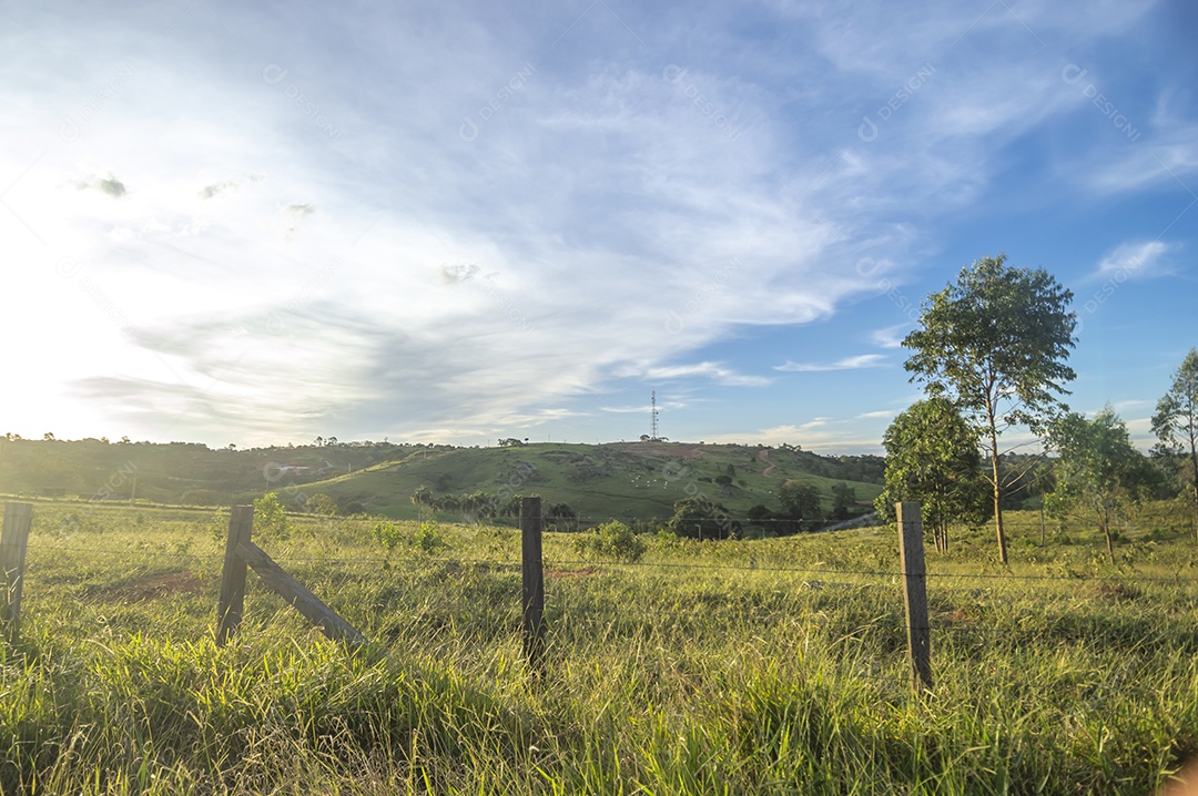 Paisagem com grama verde, pasto verde vazio em um final de tarde e nuvens suaves.