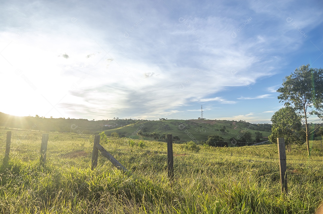 Paisagem com grama verde, pasto verde vazio em um final de tarde e nuvens suaves.