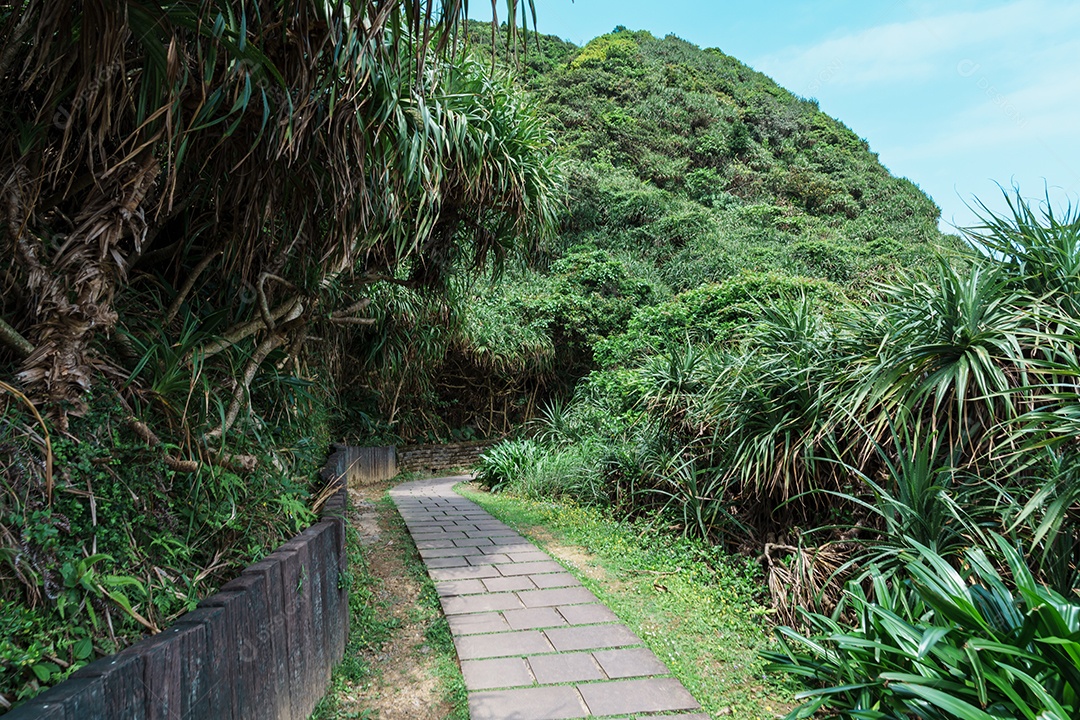 Paisagem da trilha de caminhada Bitou Cape na cidade de Nova Taipei.