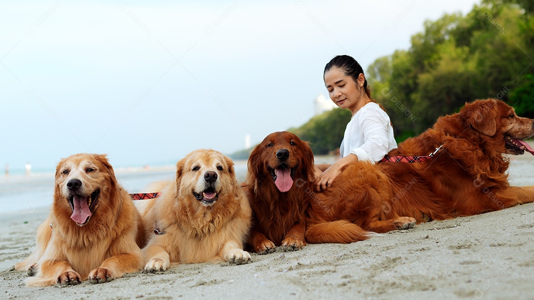 Mulher feliz com cachorros de estimação na praia