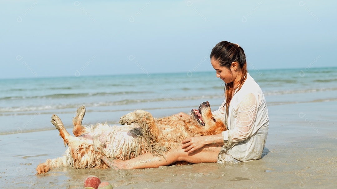 A mulher feliz com o cão que senta-se relaxa e descansa aprecia a liberdade na praia