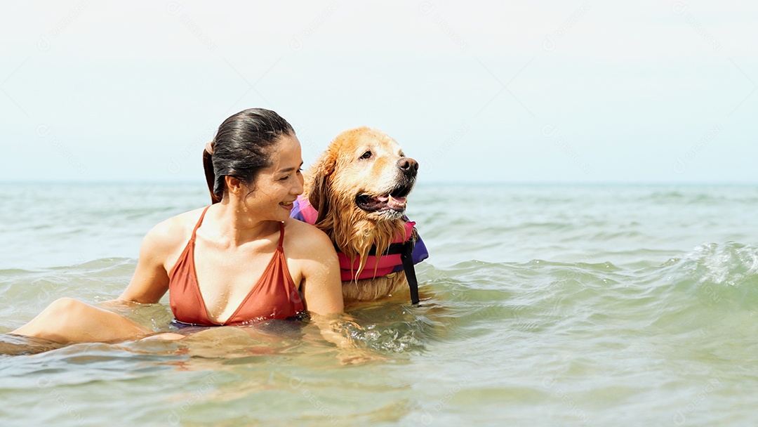 A mulher feliz com o cão que senta-se relaxa e descansa aprecia a liberdade na praia