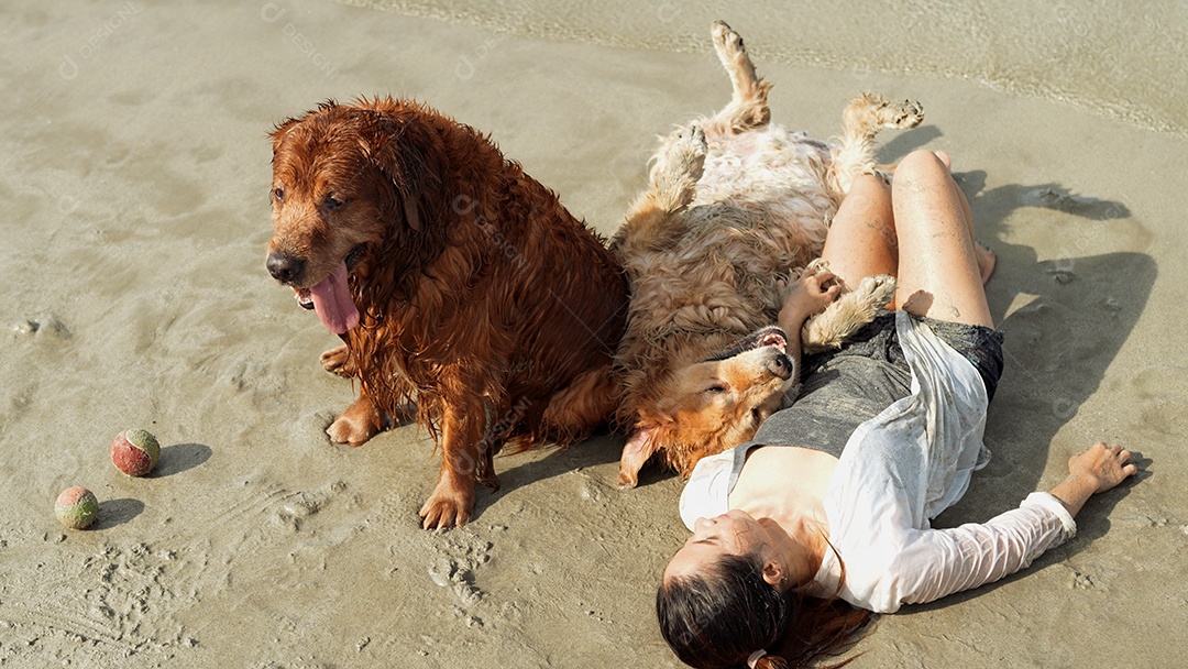 A mulher feliz com o grupo de cães que senta-se relaxa e descansa aprecia a liberdade na praia