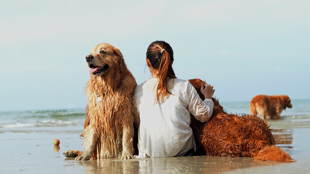 A mulher feliz com o grupo de cães que senta-se relaxa e descansa aprecia a liberdade na praia