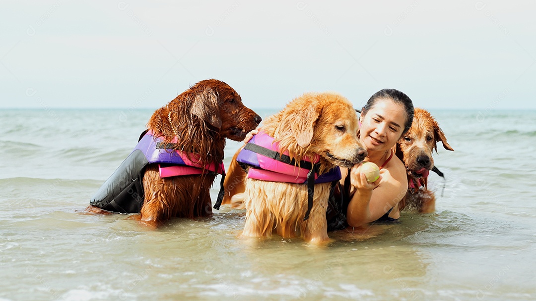 A mulher feliz com o grupo de cães que senta-se relaxa e descansa aprecia a liberdade na praia