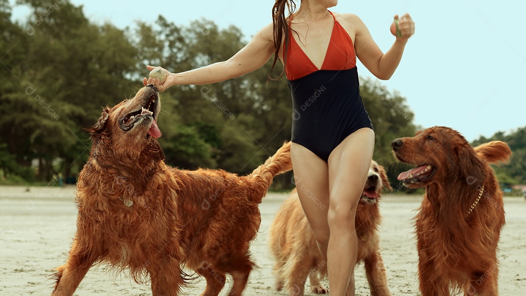 A mulher feliz com o grupo de cães que senta-se relaxa e descansa aprecia a liberdade na praia