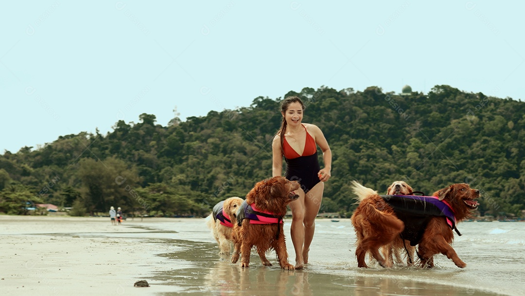 Mulher andando com cachorros dourados na praia