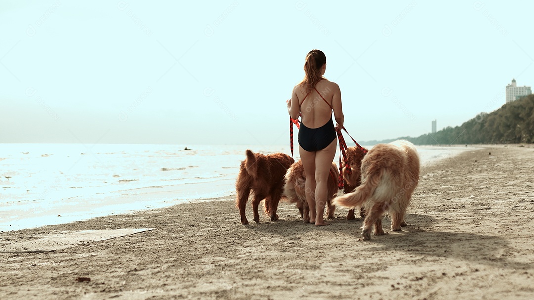 A mulher feliz com o grupo de cães que senta-se relaxa e descansa aprecia a liberdade na praia