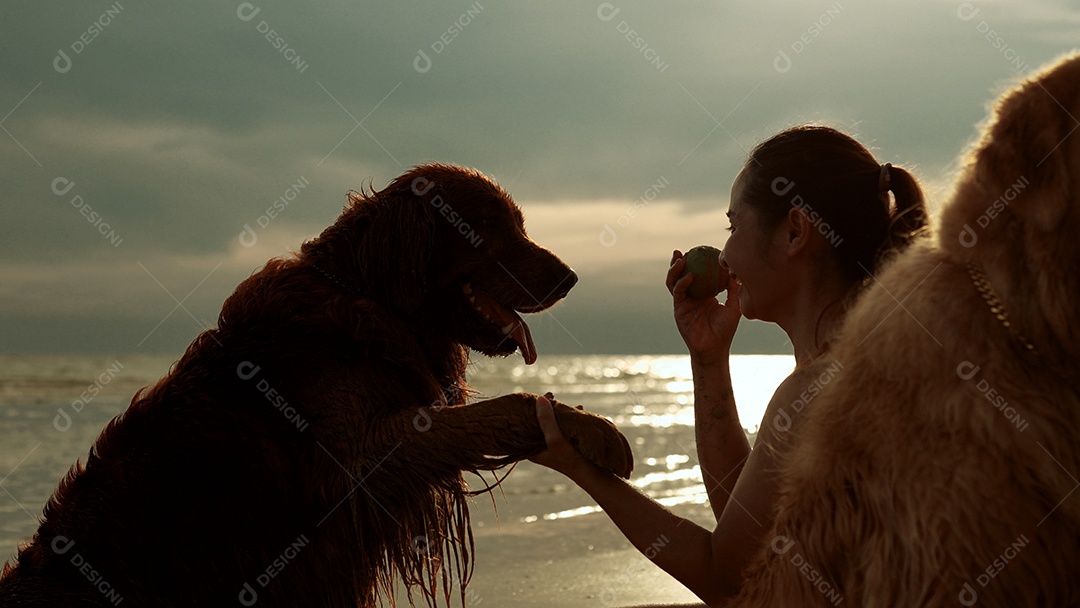 A mulher feliz com o grupo de cães que senta-se relaxa e descansa aprecia a liberdade na praia